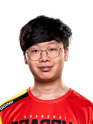 DDing Shanghai Dragons