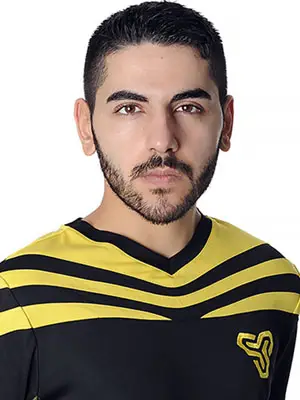 MAJ3R Team LDLC